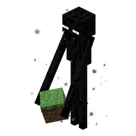 Enderman Minecraft Amino Crafters Amino