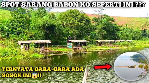 Spot Ini Awal Nya Sarang Ikan Nila Babon Ko Sekarang Jadi Seperti Ini