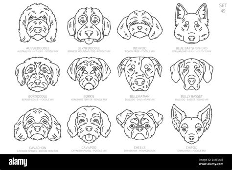 Designers Dog Head Silhouettes In Alphabet Order All Dog Mix Breeds