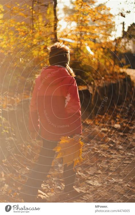 Herbstwanderung Im Wald Ein Lizenzfreies Stock Foto Von Photocase