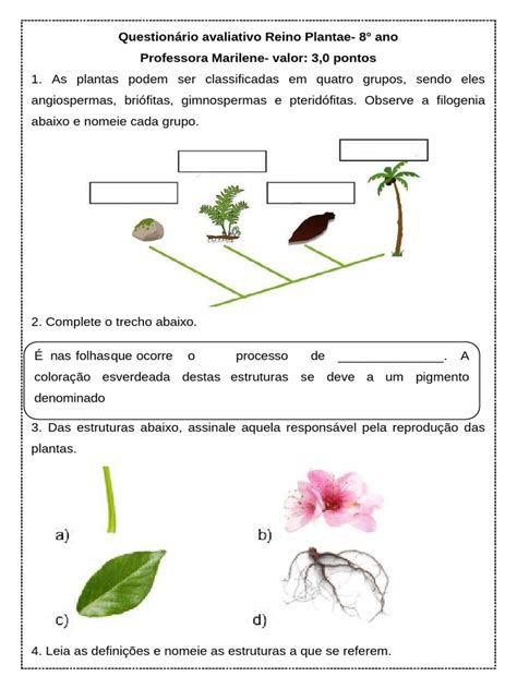 Questionário Avaliativo Reino Plantae | PDF | Plantas | Flores
