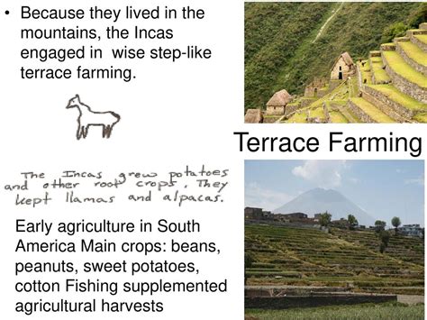 The Incas In This Lesson Students Will Be Able To Define The Following