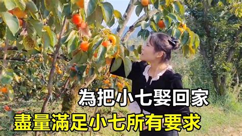 小七逐漸喜歡上吃柿子，小勇直言滿山的柿子隨便吃，為把小七娶回家盡量滿足小七所有要求【廣西小勇v】 Youtube