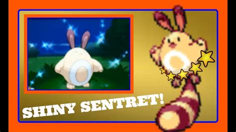 -: LIVE! Shiny Sentret after 2,090 Encounters! :- [X #1] - YouTube