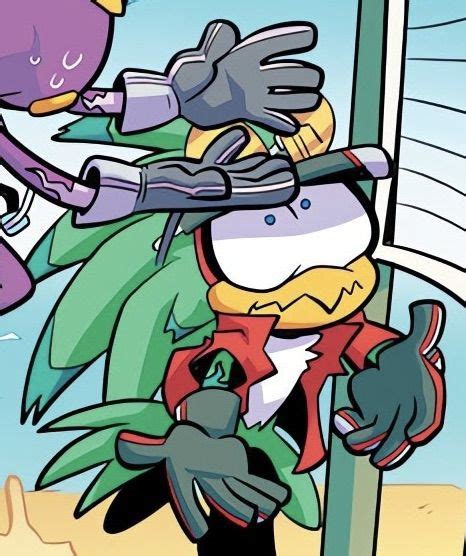 Jet The Hawk IDW Endless Summer Sonic Funny Sonic Franchise Sonic