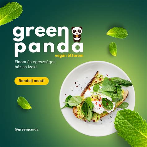 green panda logo  app design  behance