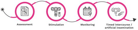 Ovulation Induction – Santasa IVF & Endosurgery Institute