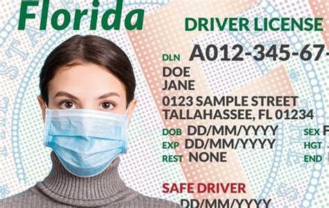 How Do I Make An Appointment At The Florida Dmv Reissue Drivers