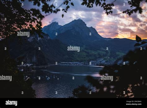 Switzerland, Lake Lucerne Stock Photo - Alamy