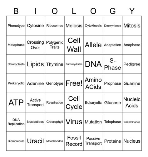 Biology Vocab Bingo Card