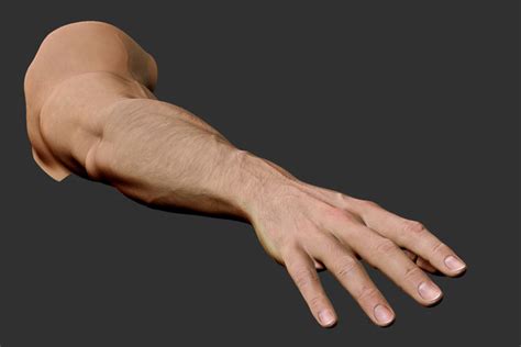 D Realistic Male Arm Hand Model Turbosquid