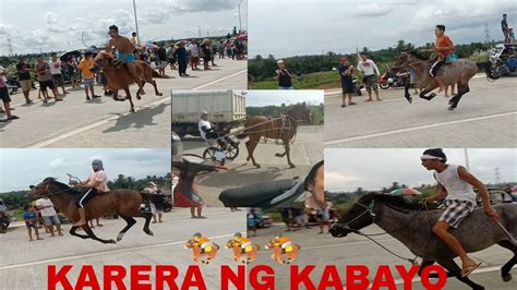 KARERA NG KABAYO SA LUCBAN QUEZON YouTube