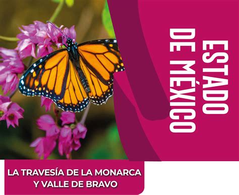 La Traves A De La Mariposa Monarca Y Valle De Bravo Estado De M Xico