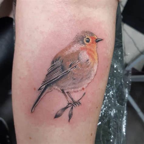 Incredible Robin Tattoo Ideas Inspiration Guide Robin