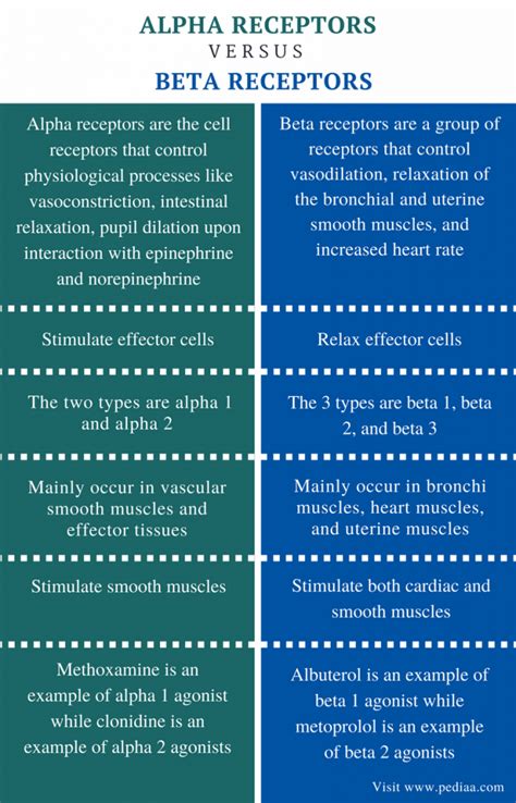 Difference Between Alpha and Beta Receptors | Definition, Mechanism ...