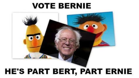 Vote Bernie Part Bert Part Ernie Myconfinedspace