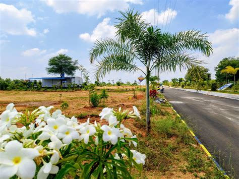 Residential Plot Sq Yards For Sale In Srisailam Highway Hyderabad