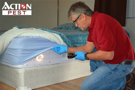 Mechanical Pros And Cons Of Heat Treatment For Bed Bugs Craft