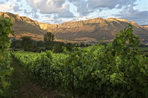 La Ruta Del Txakoli Se Une A Rutas Del Vino De Espa A Acevin