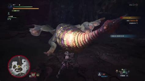 【餛飩】魔物獵人世界mhw 菜鳥獵人 長槍 Ep6 主線中 上位 毒妖鳥 大凶豺龍 土砂龍 Youtube