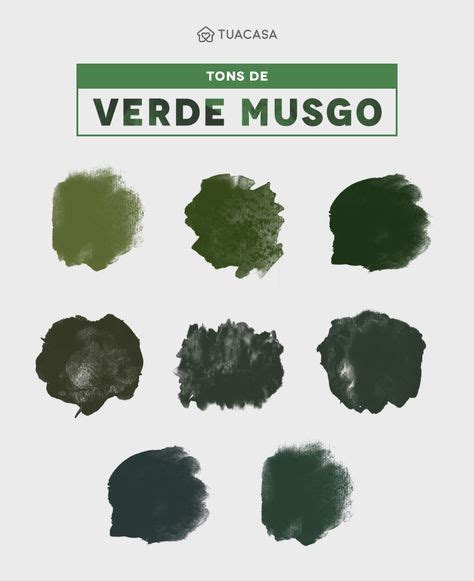 Paleta De Cores Com Verde Musgo