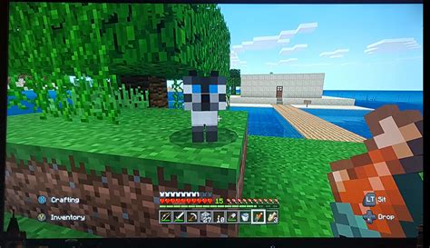 Siamese Cat Minecraft