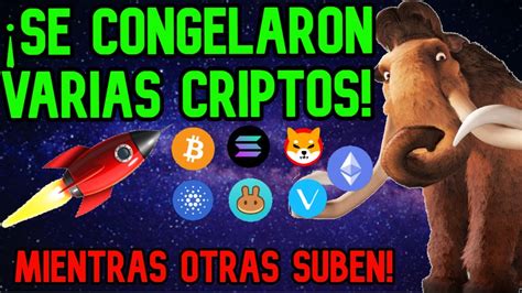 Bitcoin Hoy Sube Pero Viernes Baja Seguimos Con Nuestras Operativas