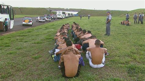 PM flagra drogas dentro de 6 ônibus 240 detentos em Araraquara SP