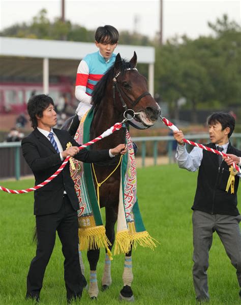 ジュンライトボルト石川騎手、残り200mからスペースを確保した絶妙な判断／チャンピオンズc 勝敗その一瞬〜重賞振り返り〜 競馬コラム