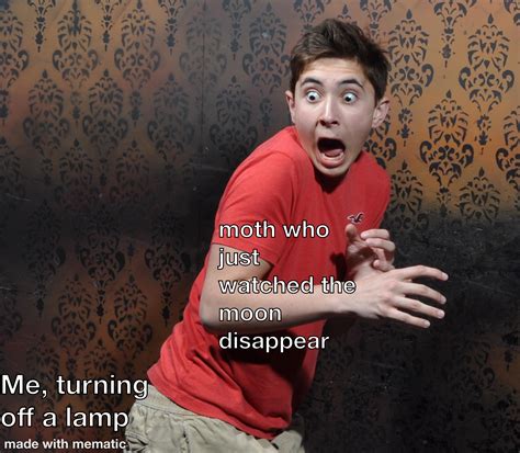 Moth meme : r/memes