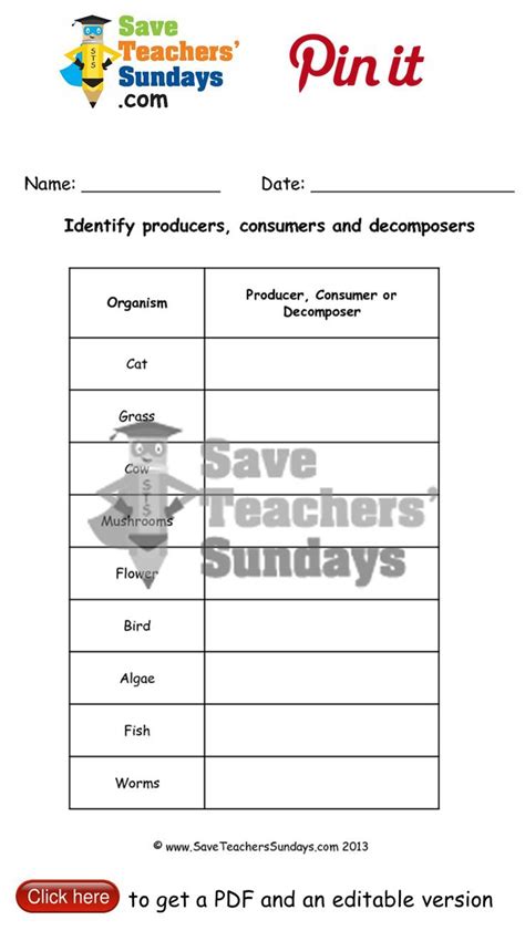 Producer Consumer Decomposer Worksheet In Teaching Resources