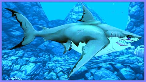 Hungry Shark World New Shark Unlocked Shark Game LIVE Gaia Shark