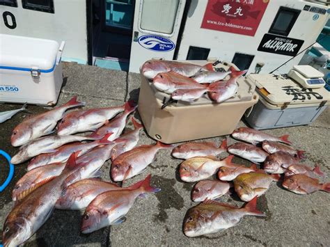 421㈮乗っ込み真鯛釣りに出船しました。 南伊豆の深場釣りなら秀丸