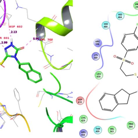 The Protein RMSD RMSF And Proteinligand Contacts Diagram Of Complex