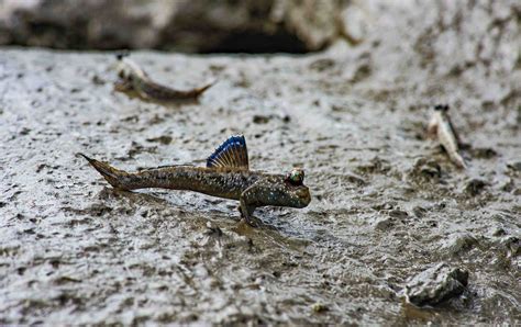 Discover Gabon | National Parks