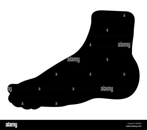 Bare Foot Silhouette Vector Symbol Icon Design Stock Photo Alamy