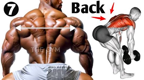 7 Muscle Building Back Exercises Fastest YouTube