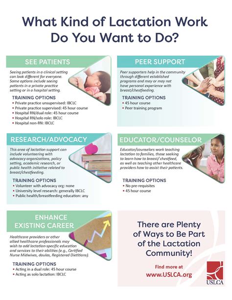 Entering The Lactation Profession Uslca