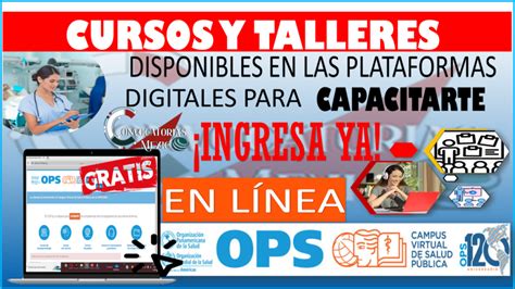 ≫ Estos Son Los Cursos Y Talleres 2023 2024 Disponibles En Las