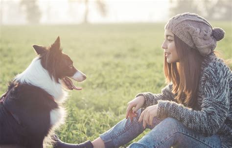 21 Fun Tips To Help Teach Kids To Respect Animals Today Shield My Pet