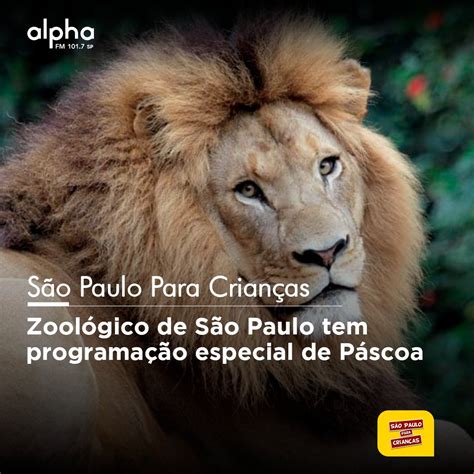 Alpha FM on Twitter São Paulo Para Crianças Zoológico de São Paulo