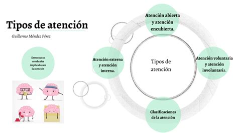 Tipos De Atenci N By Guillermo M Ndez P Rez On Prezi