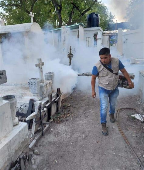 En Guerrero Habr An Muerto Personas Por Dengue Seg N Cifras