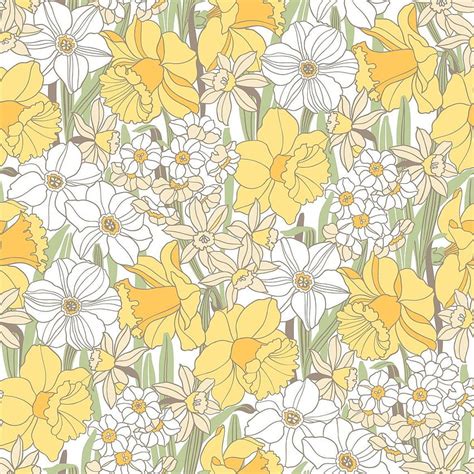 Daffodil Colours Daffodils Yellow Daffodils Flower Drawing Hd