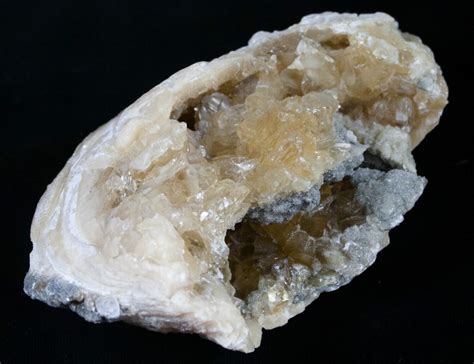 4.3" Golden Calcite Crystal Clam Fossil (#6550) For Sale - FossilEra.com