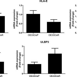 No Significant Differences In NK Cell Ligand MRNA Expression Between