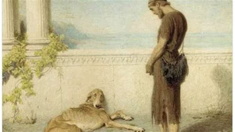 L Odissea Ci Racconta Argo Il Cane Che Ha Aspettato Ulisse Per Anni