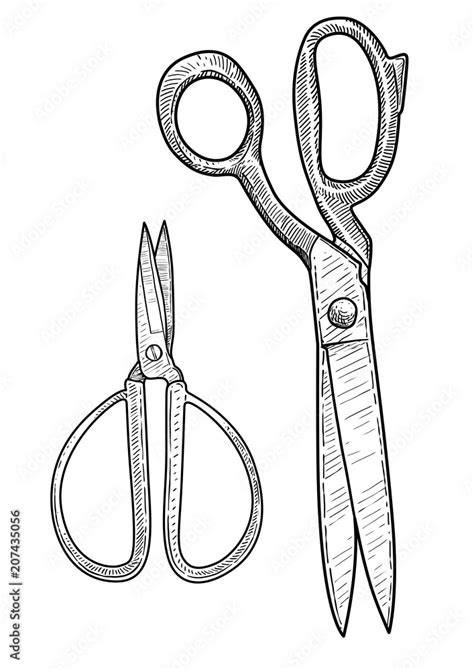 Scissors illustration, drawing, engraving, ink, line art, vector Stock ...