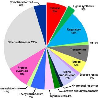 LCM Mediated Isolation Of Vascular Tissues From P Virgatum Alamo A A