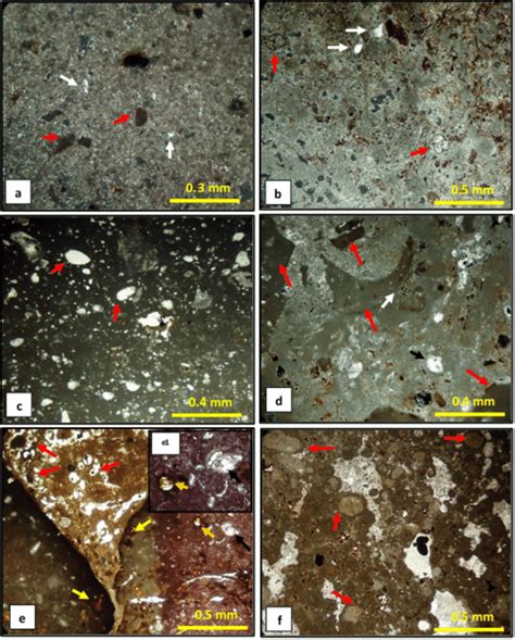 Photomicrographs Showing Microfacies Types Of Avanah Formation In